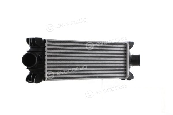 Mahle CI 391 000S