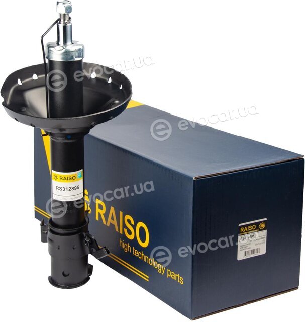 Raiso RS312895