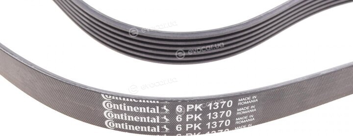 Continental 6PK1370