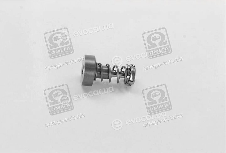 Bosch F 01M 101 349