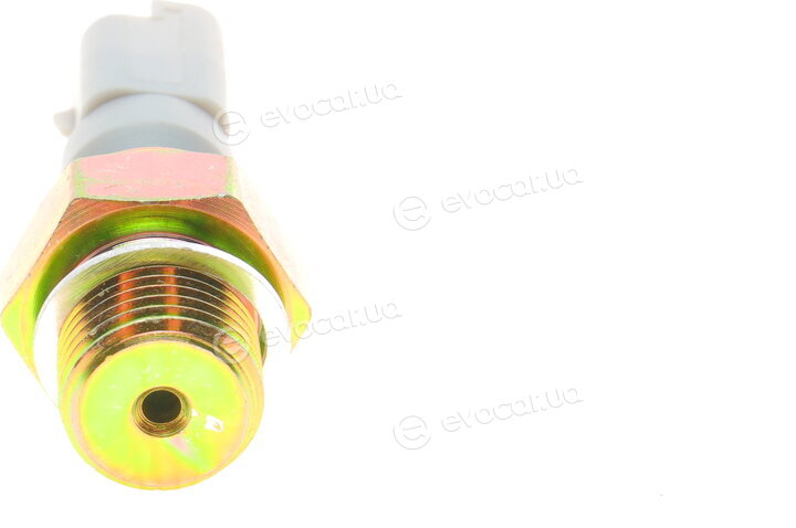 AIC 55399