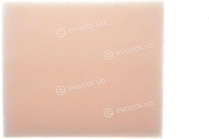 Solgy 103187