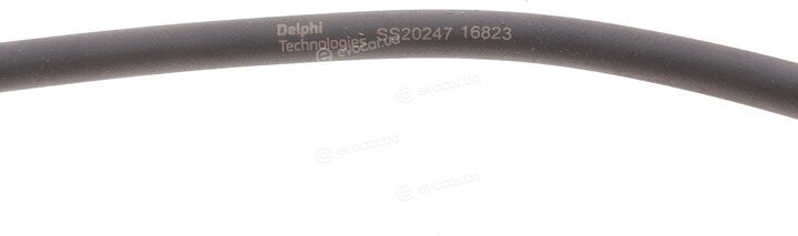 Delphi SS20247