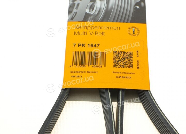 Continental 7PK1647