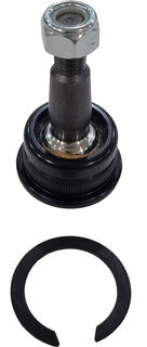 CTR CB0186