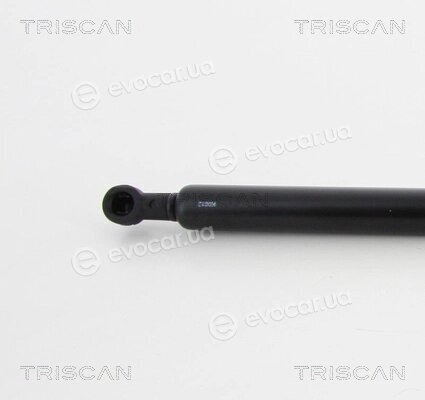 Triscan 8710 17219