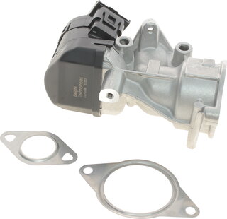 Delphi EG10396