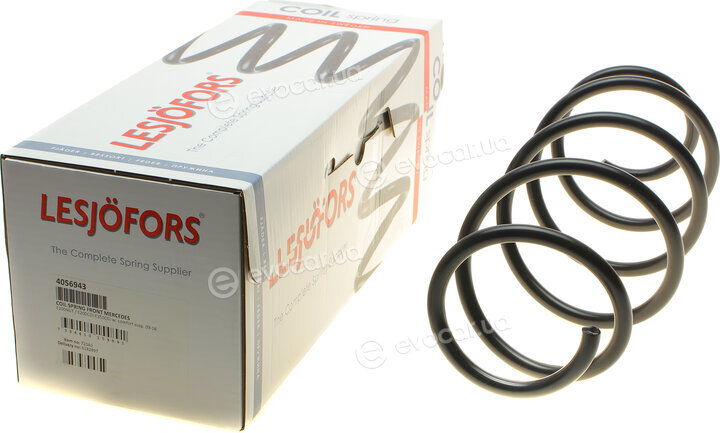 Lesjofors 4056943