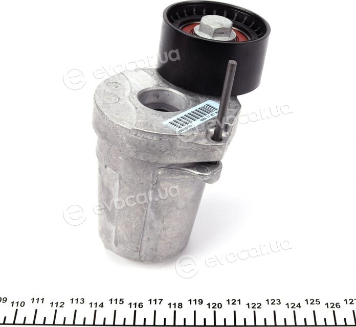Hutchinson T0073