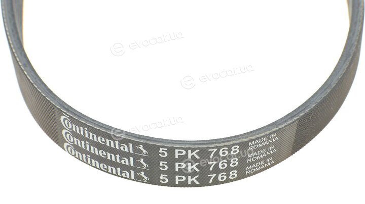 Continental 5PK768