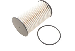 Solgy 102026