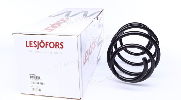 Lesjofors 4008435