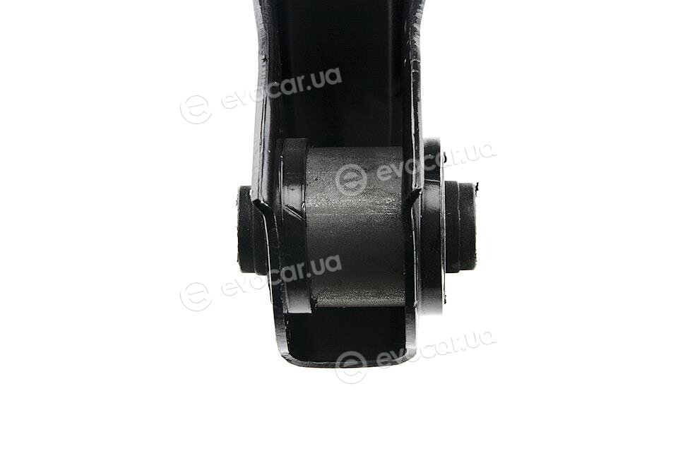 NTY ZWT-MS-006