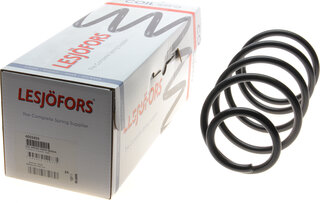 Lesjofors 4055455