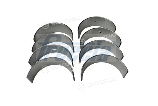 Freccia CR19-102910