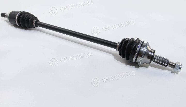 Asam 30954