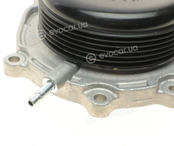 Hepu P1513