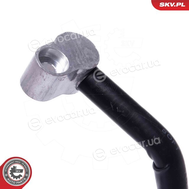 SKV 43SKV529