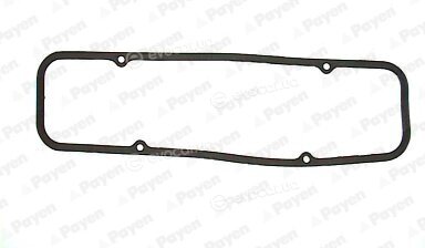Payen JM483