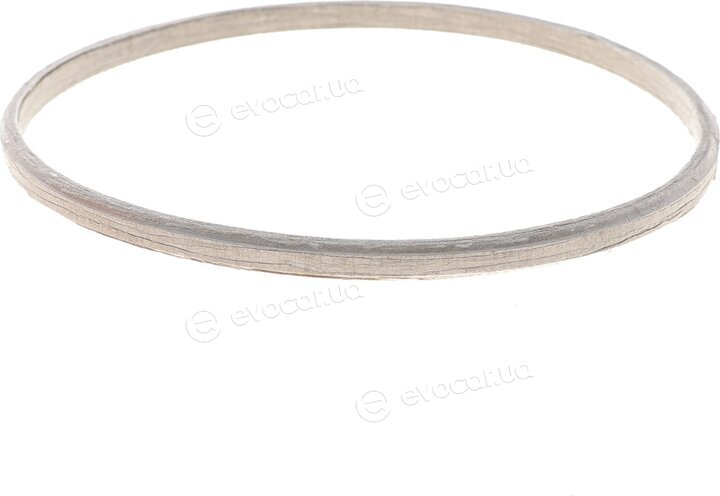 Elring 559.190