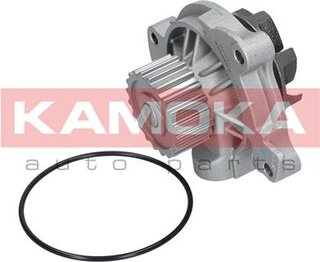 Kamoka T0042