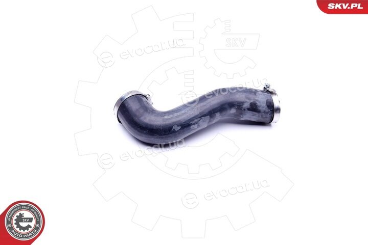 SKV 43SKV119
