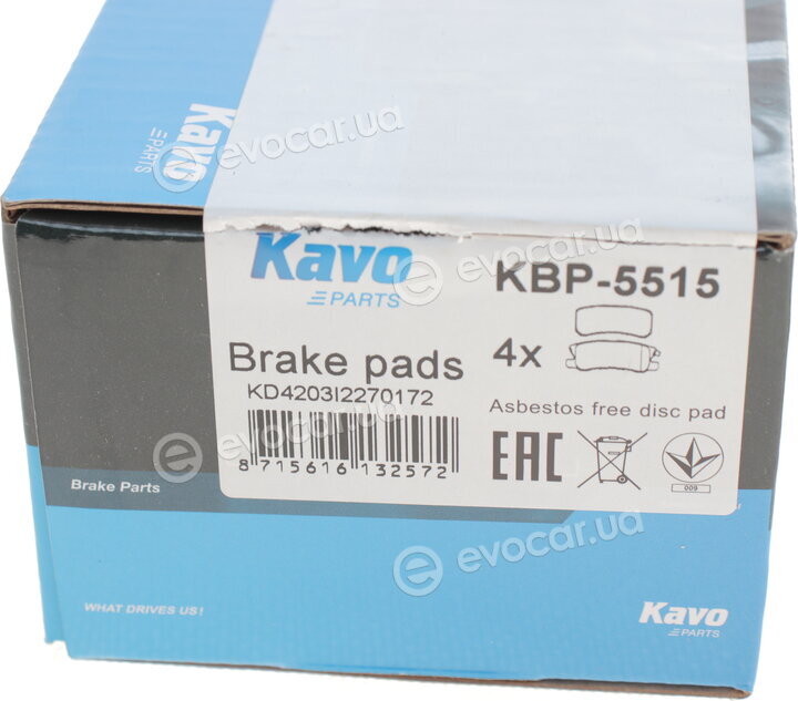 Kavo KBP-5515