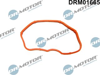Dr. Motor DRM01665