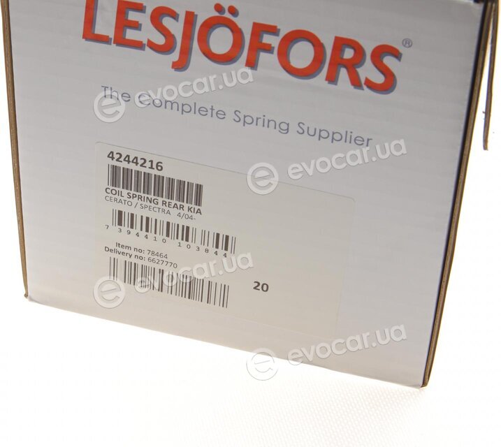 Lesjofors 4244216