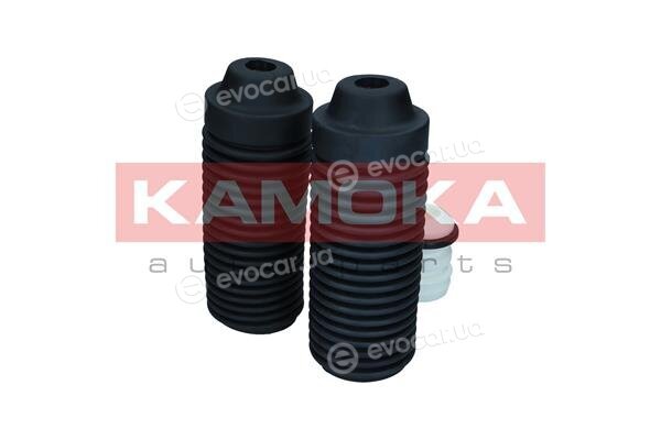 Kamoka 2019218