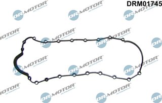 Dr. Motor DRM01745