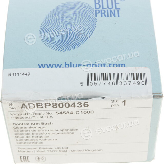 Blue Print ADBP800436