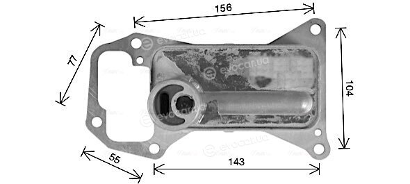 AVA BW3592