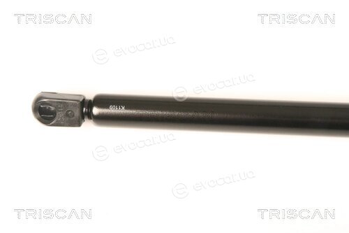 Triscan 8710 43232