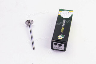BGA V991724