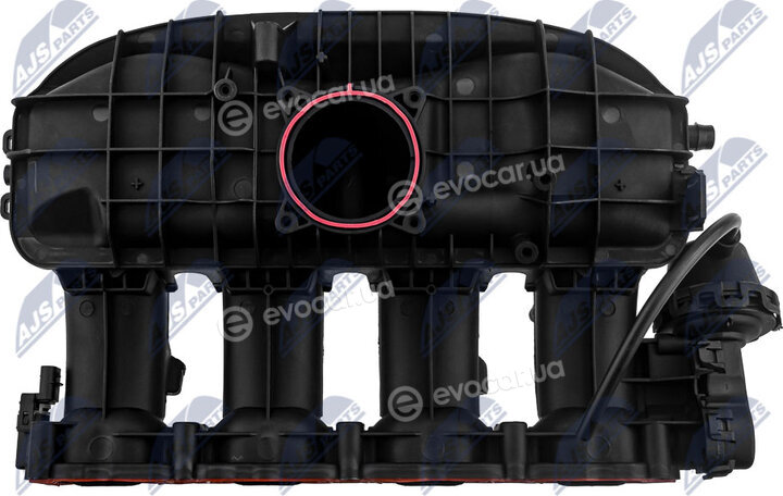 NTY BKS-VW-029