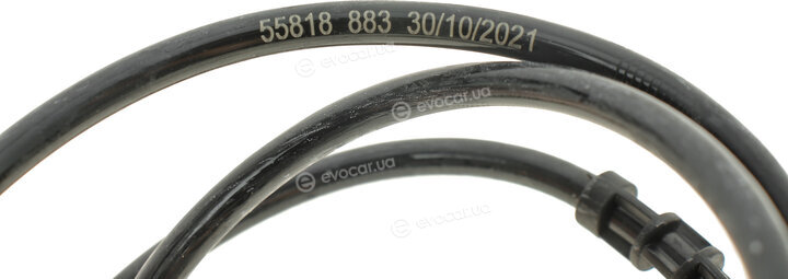 AIC 55818