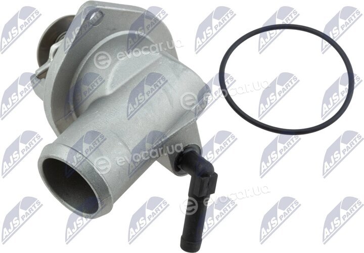 NTY CTM-PL-031