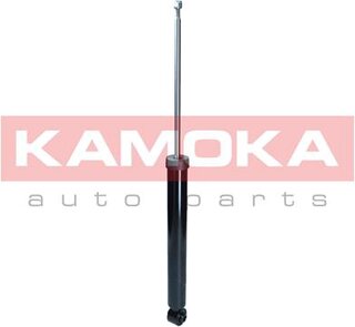 Kamoka 2001221