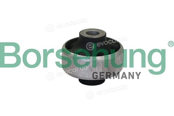 Borsehung B10018
