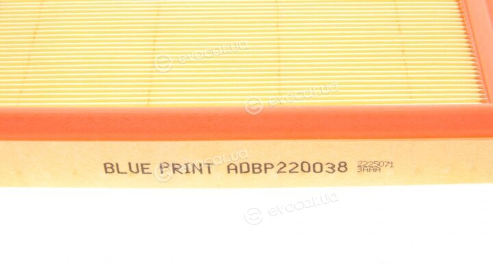 Blue Print ADBP220038