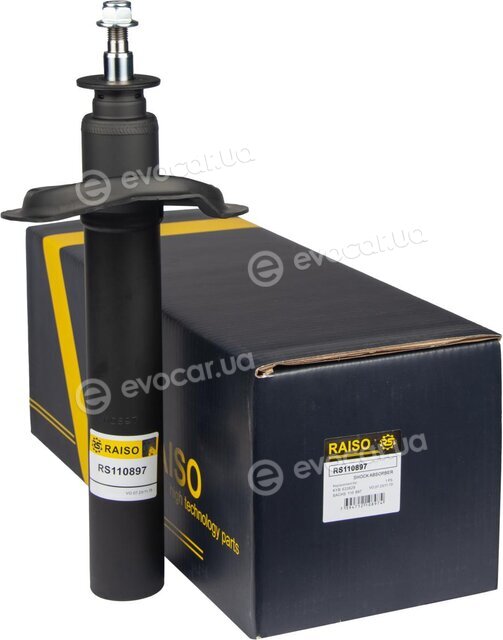 Raiso RS110897