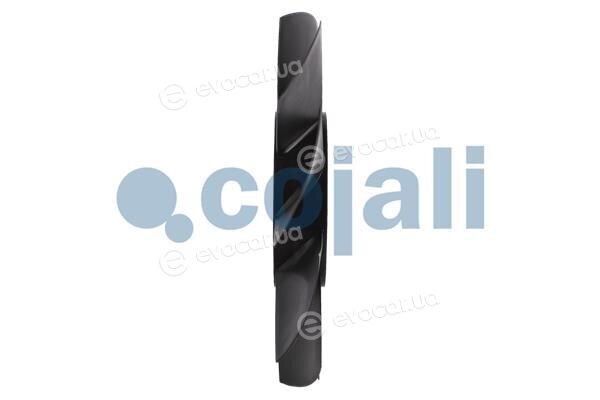 Cojali 7057126