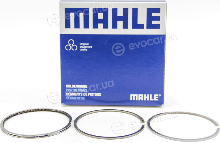 Mahle 029 55 N1