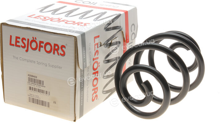 Lesjofors 4208403