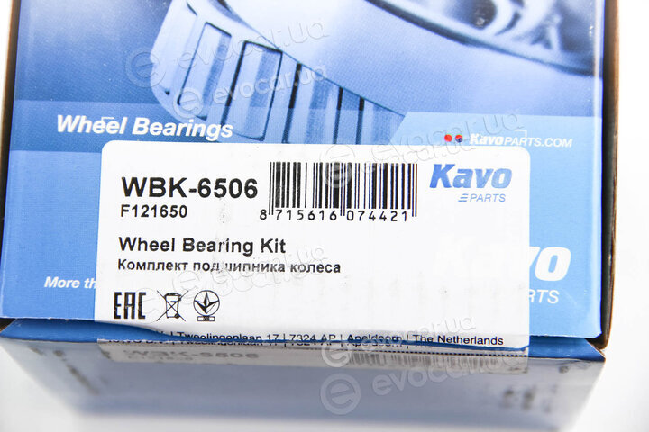 Kavo WBK-6506