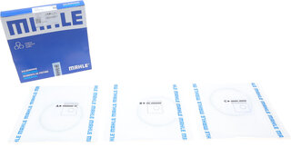 Mahle 009 90 V0