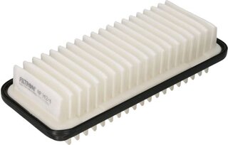 Filtron AP 142/4