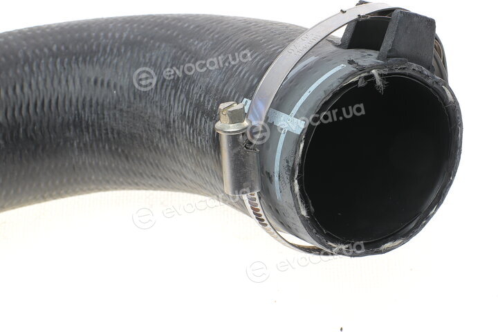 Hutchinson 110009