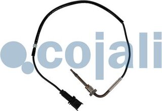 Cojali 2262016